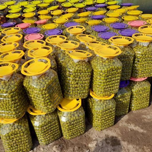 زیتون با هسته ممتاز